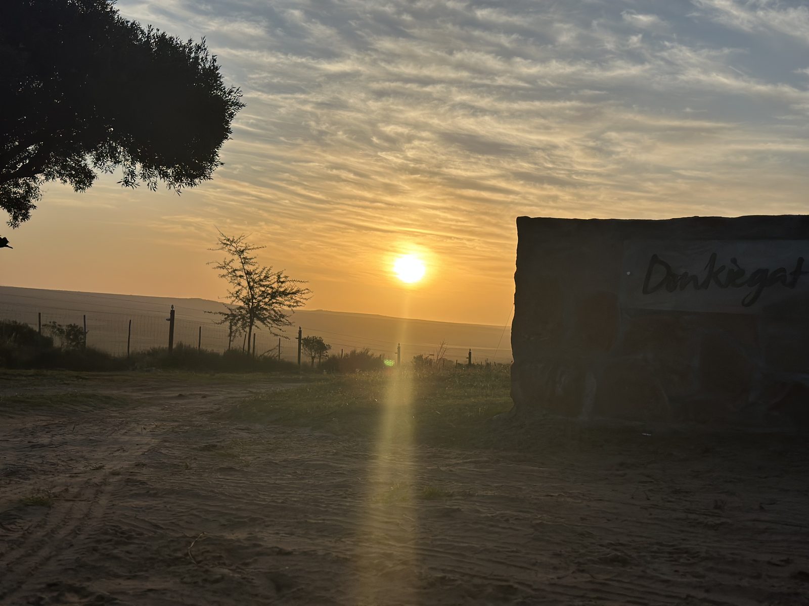 Golden hour over the Donkieskraal veld